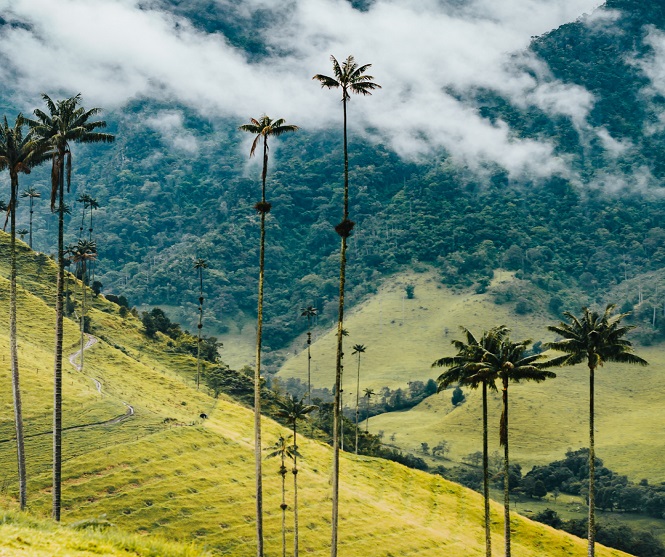 tours por colombia economicos