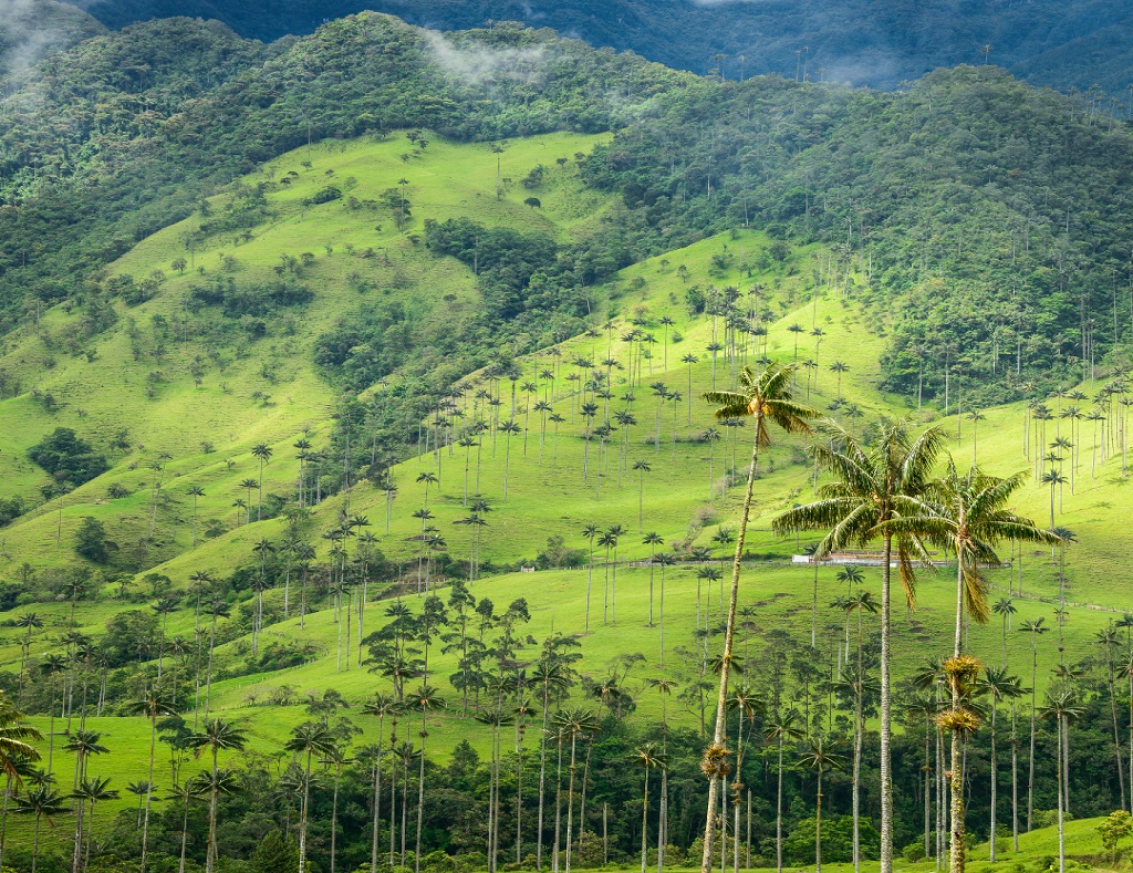 tours por colombia economicos