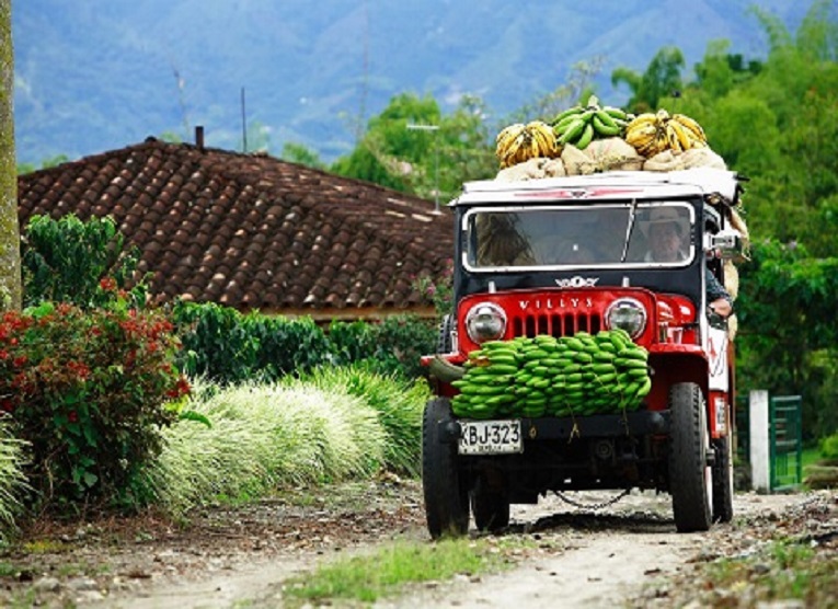 tours por colombia economicos